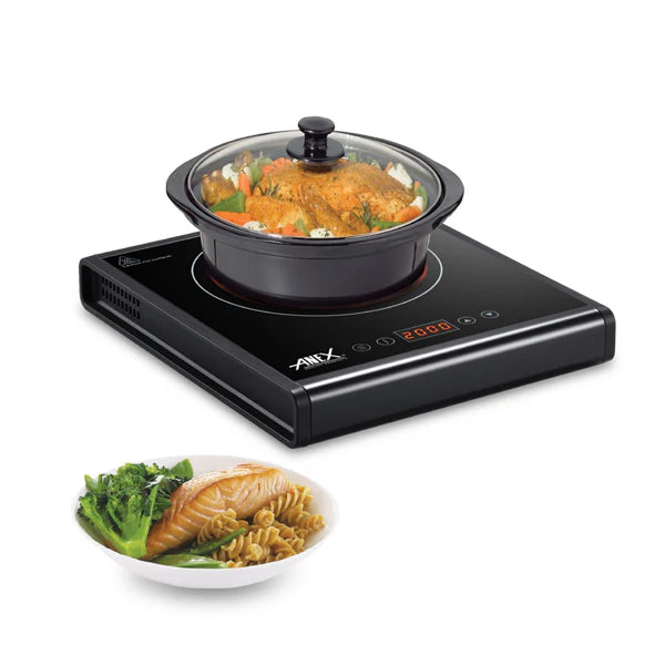 Anex Hot Plate AG-2167