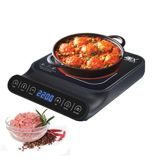 Anex Hot Plate AG-2166
